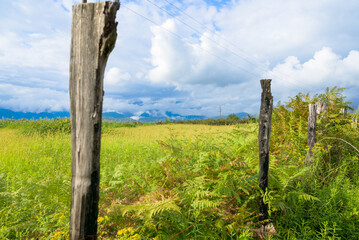 Obraz premium Overgrown grassy field with weathered, partially rotted wooden fence posts in the foreground, under a very cloudy sky, with distant mountains on the horizon.