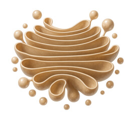 Golgi apparatus with layered cisternae and vesicular transport features.