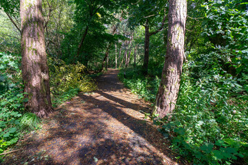 Durrockstock Park, Paisley. Scotland, UK. A Local Nature Reserve which is a refuge for wildlife. An old reservoir provides a variety of habitats for birds and amphibians. A former industrial area. 