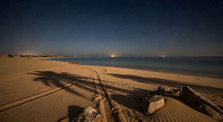 Starry Night Beach Scene with Tire Tracks and Palm Tree Shadows Under a Clear Night Sky