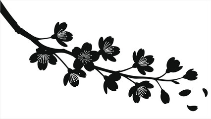 Cherry blossom branch silhouette vector. Japanese sakura flower in bloom with falling petals. Minimalist black and white floral art isolated on white background for spring