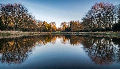 Peaceful morning at the lake, trees reflected in the water, soft light, serene landscape, perfect for nature lovers and outdoor enthusiasts, calm scenery