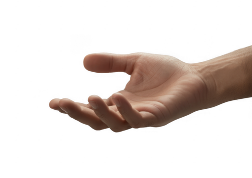 Open human hand palm up with fingers slightly curled isolated on a transparent background