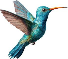 Obraz premium Colorful hummingbird isolated on transparent background