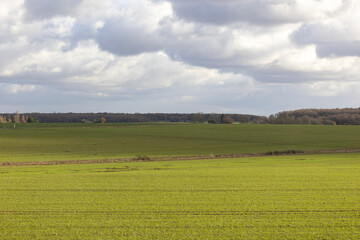 Fototapeta premium Wide green agricultural field with a small farm house and trees in the distance under the dramatic grey cloudy sky creates a peaceful rural landscape view in Centre Val de Loire region