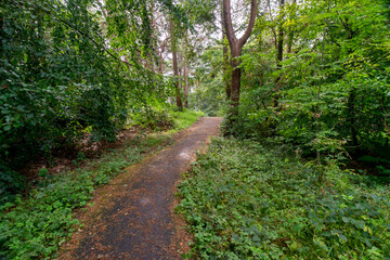 Durrockstock Park, Paisley. Scotland, UK. A Local Nature Reserve which is a refuge for wildlife. An old reservoir provides a variety of habitats for birds and amphibians. A former industrial area. 