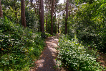 Durrockstock Park, Paisley. Scotland, UK. A Local Nature Reserve which is a refuge for wildlife. An old reservoir provides a variety of habitats for birds and amphibians. A former industrial area. 