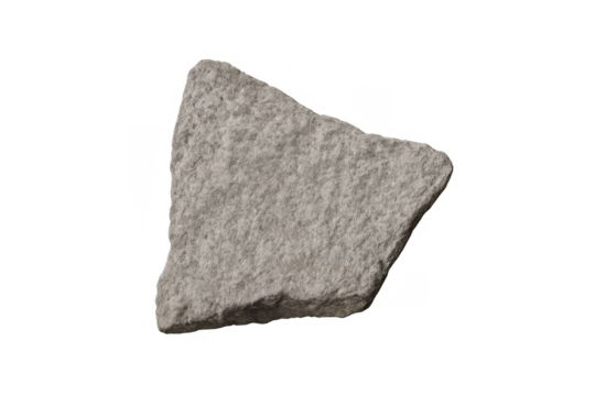 Gray stone fragment displaying textured rock geology