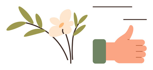 Hand giving thumbs up beside a flower twig with green leaves, representing approval, freshness, and nature. Ideal for sustainability, approval, wellness, eco-living positivity flora minimalism. A