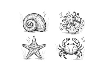 Intricate sea life illustrations: shell, coral, starfish, and crab in black and white