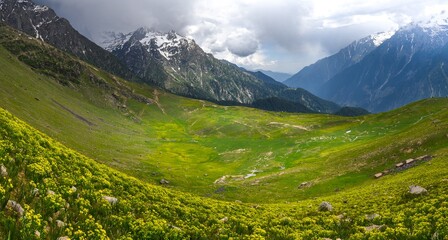 Panoramic view of Beshai Meadow near Kalam in Swat Valley, Pakistan, a lush high-altitude pasture at around 11,000 ft, carpeted with yellow wildflowers and framed by rugged and snow-dusted mountains  