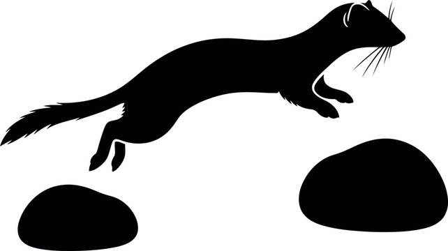 Black silhouette of a weasel jumping over rocks