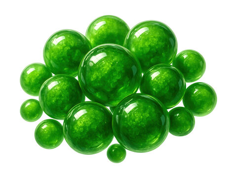 Spherical phytoplankton cells rich in chlorophyll.