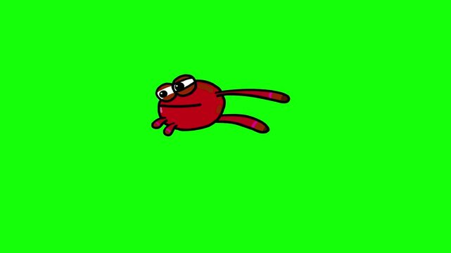Red frog cartoon leaping in place outline greenbox isolated. Animal character on green screen background ood for any project for children about nature.