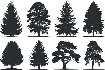 Set of various tree silhouettes, including pine, oak, and spruce