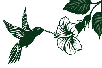 Stylized dark green silhouette vector illustration of a hummingbird in flight feeding nectar from a large tropical hibiscus flower