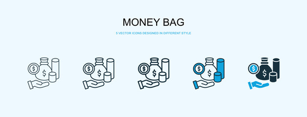 Money Bag Icon Different Style Vector Illustration