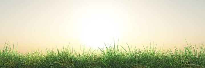 Green grass in the sun, grass background, 3D rendering