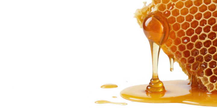 Honey dripping from honeycomb onto a black background isolated on a transparent background
