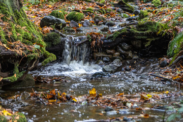waterfall in autumn