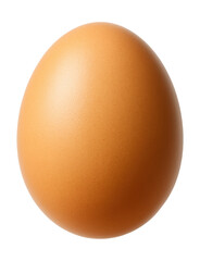 Smooth, oval brown egg with a small pointed end.