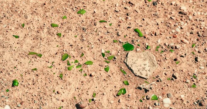 Close-up of a green glass bottle shattered on the dry, dusty desert floor in Namibia, with sunlight reflecting off the shards, creating a stark, dramatic scene.