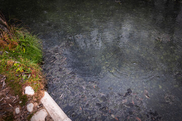 Bubbling geothermal spring in Liptovsky Jan with steaming mineral water, rocks and grass vegetation. Natural thermal source in a calm outdoor environment.