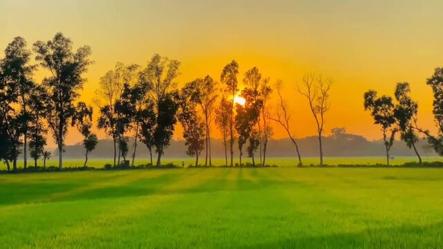 Fertile Land and Dusty Path: End of Day Scene