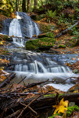 waterfall in the forest
