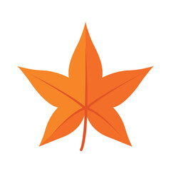 Sweetgum Leaf Vector Illustration, Autumn Liquidambar Leaf Design, Orange Star-Shaped Leaf Botanical Graphic