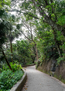 Hong Kong China Path