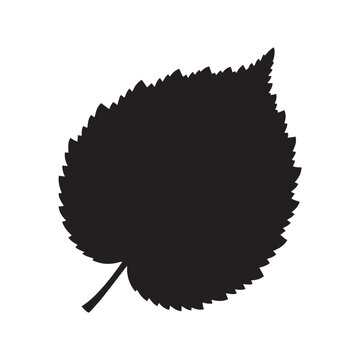 Hazel Leaf Silhouette Vector, Flat Hazel Tree Leaf Black Illustration, Hazel Leaf Botanical Shape Design