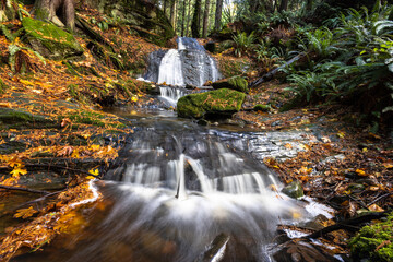 waterfall in the forest