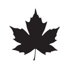 Sycamore Leaf Silhouette Vector, Flat Sycamore Tree Leaf Black Illustration, Sycamore Leaf Botanical Shape Design