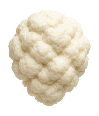 Thick, white colony of yeast with creamy texture on growth medium.