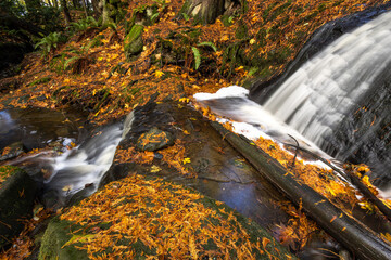 waterfall in autumn