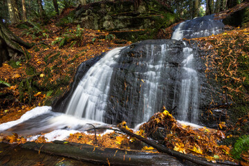 waterfall in fall