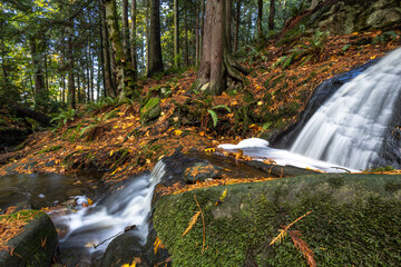 waterfall in autumn