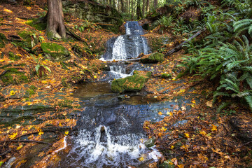 waterfall in autumn forest