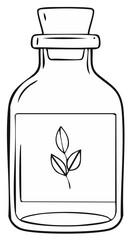 Hand drawn illustration of a glass bottle with leaves and a wooden cork