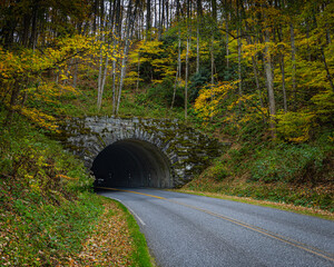 A paved road leads into a historic stone masonry tunnel on the Blue Ridge Parkway in North Carolina. The scene is framed by a forest of trees displaying yellow and green autumn foliage.