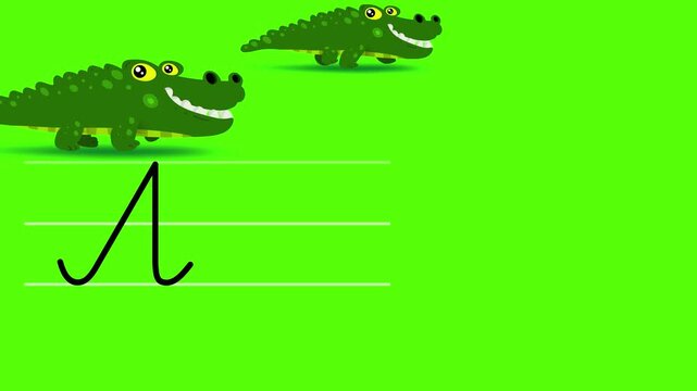 A letter writing like color alligator cartoon animation. A compatibile part of the alphabet serie. Handwriting educational children style. Good for education movies, presentation, learning alphabet.