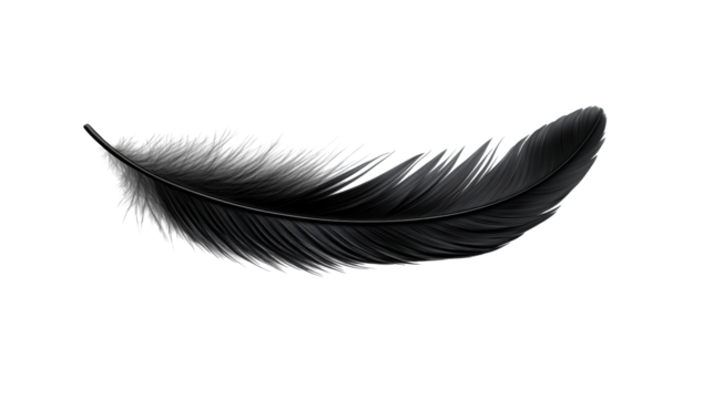 Black Feather on Transparent Background
