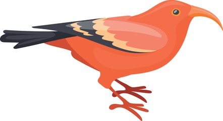 Scarlet honeycreeper cartoon icon. Tropical color bird