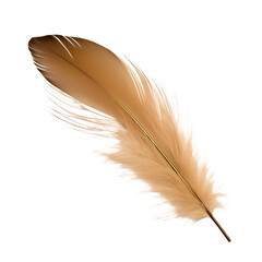 Fototapeta premium Golden feather with fluffy barbs curves gently on dark background, feather glow adds warmth and softness, elegant feather symbol of comfort, lightness, boho decor, dreamy spiritual theme