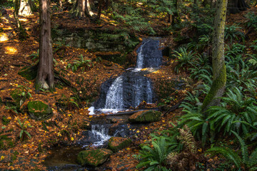waterfall in the forest