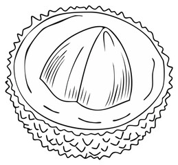Lychee Fruit Black and White Line Drawing of a Halved Exotic Asian Fruit with Textured Skin