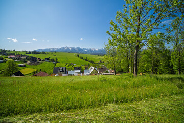 Panoramic view of the snow-capped Tatra Mountains from Rzepiska village in Podhale, Poland. Scenic June landscape with vivid green fields and rural settlement.