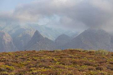 Wonderful landscapes of northern Tenerife from Los Silos. Los Silos is a municipality belonging to the province of Santa Cruz de Tenerife, on the island of Tenerife, Canary Islands, Spain.