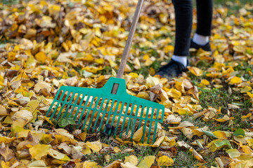 Young person raking fallen autumn leaves outdoor